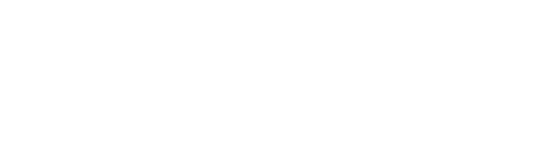 DPL Group